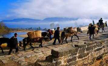 Ancient Tea and Horse Caravan Trail