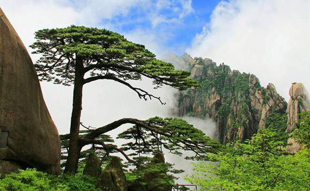 Huangshan Tour Package