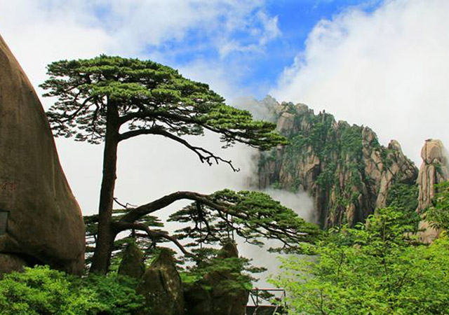 Mt. Huangshan