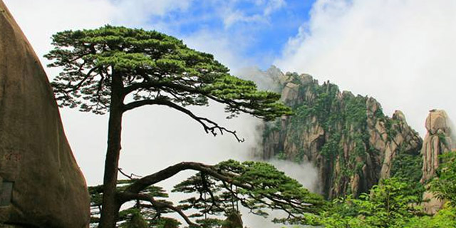 Huangshan Tour Package