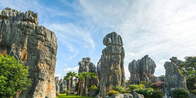 Stone Forest Tour