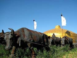Genghis Khans Mausoleum, Baotou Travel