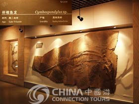Exhibits of Beijing Geological Museum, Beijing Attractions, Beijing Travel Guide
