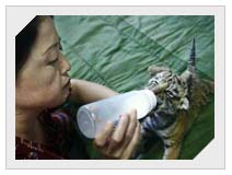 Changchun Botanical and Zoological Garden, Changchun Attractions, Changchun, Travel Guide