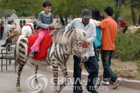 Changchun Botanical and Zoological Garden, Changchun Attractions, Changchun Travel Guide