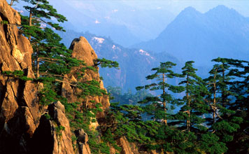 Huangshan Tours