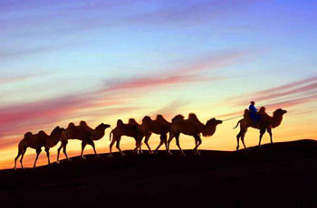 Silk Road Tours 