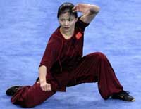 Southern Quan, Chinese martial arts