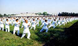 Taiji, Chinese martial arts