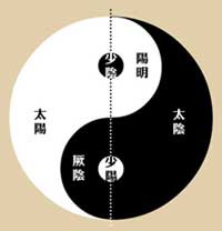 Yin and Yang