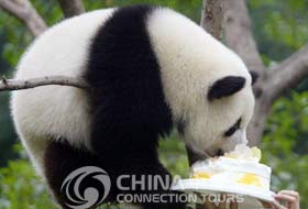 Chongqing Zoological Garden, Chongqing Attractions, Chongqing Travel Guide