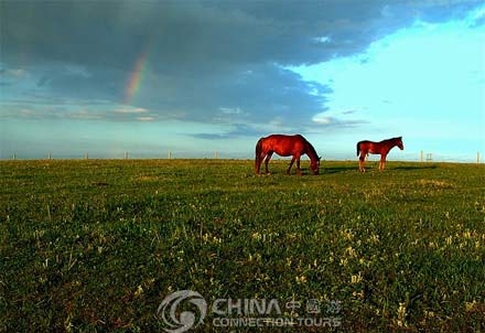 Hohhot Huitengxile Grassland, Hohhot Attractions, Hohhot Travel Guide