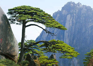 Huangshan, Huangshan Attractions