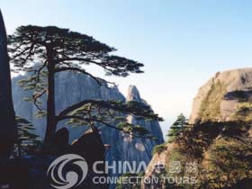 Huangshan Pines, Huangshan Attractions,  Huangshan Travel Guide