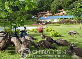 Tropical Botanical Garden - Jinghong Travel Guide