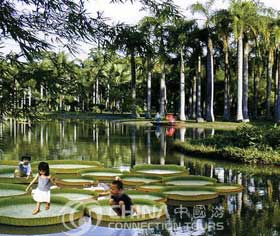 Jinghong Tropical Botany Institute，Jinghong Travel Guide