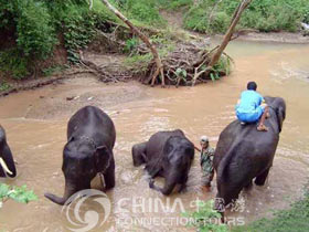 Wild Elephant Valley - Jinghong Travel Guide