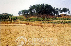 Jingzhou Ruined Cities of the State of Chu，Jinan Travel Guide