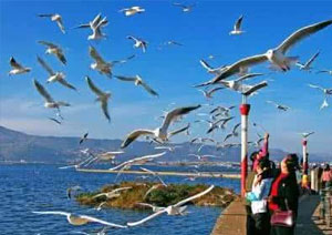 Kunming Dian Lake