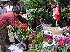 Kunming Flower and Birds Market, Kunming Shopping, Kunming Travel Guide