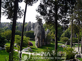 Bird view of Stone Forest 