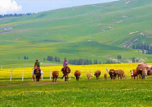 Sangke Grasslands