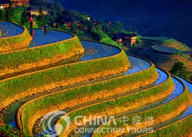 Dragon Backbone Rice Terraces