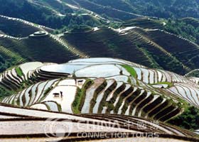 Longsheng, Longsheng Travel Guide