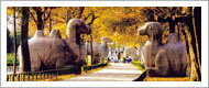 Featured Nanjing Tours