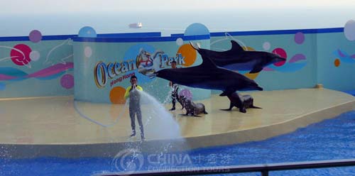 Ocean Entertainment Park of Qingdao