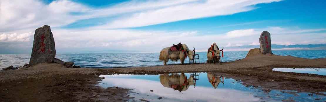 Qinghai