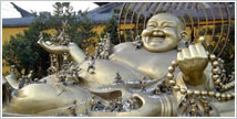 Shanghai Tours