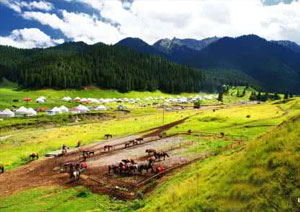 West Poplar Valley, Urumqi Attractions, Urumqi Travel Guide