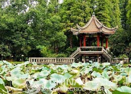 Wuhan Botanical Garden - Wuhan Travel Guide