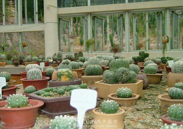 Xiamen Botanical Garden, Xiamen Attractions, Xiamen Travel Guide
