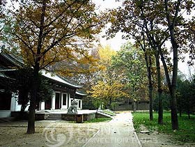 Xian Xingqing Palace Park, Xian Attractions, Xian Travel Guide