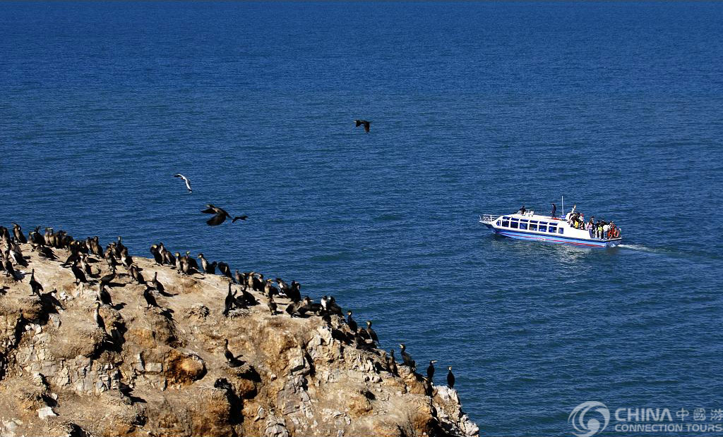 Bird Island of Xining, Xining Attractions, Xining Travel Guide