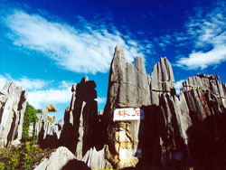 Stone Forest, Yunnan Travel