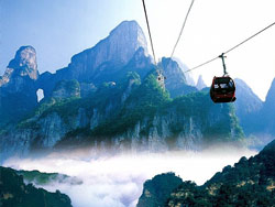 Forest National Park, Zhangjiajie Travel
