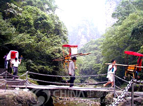 Forest National Park - Zhangjiajie Travel Guide