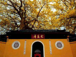 Dinghui Temple, Zhenjiang Travel