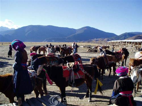 Napahai Lake - Zhongdian Travel Guide