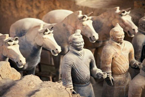 Terra Cotta Warriors Bus Tour